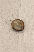 136. Shell Ring Dish Brown-opal