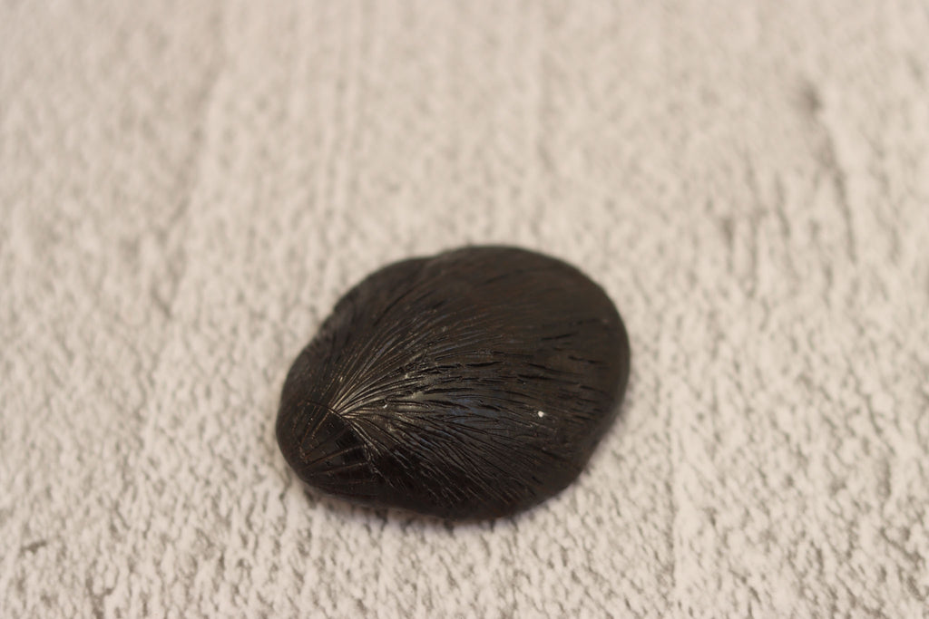 136. Shell Ring Dish Brown-opal