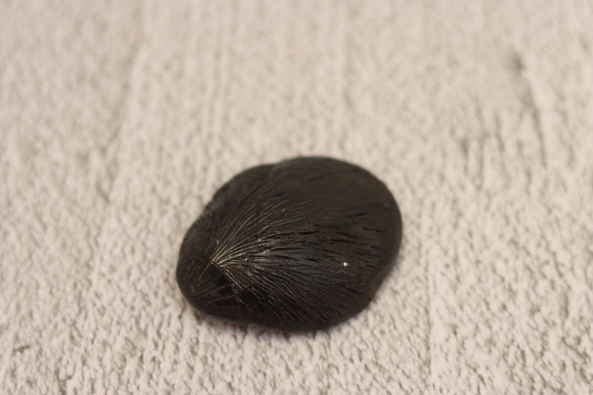 136. Shell Ring Dish Brown-opal