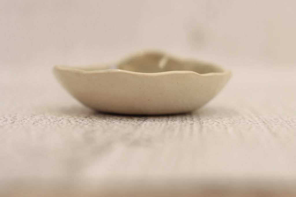 96. Tiny Plate Sage Spot