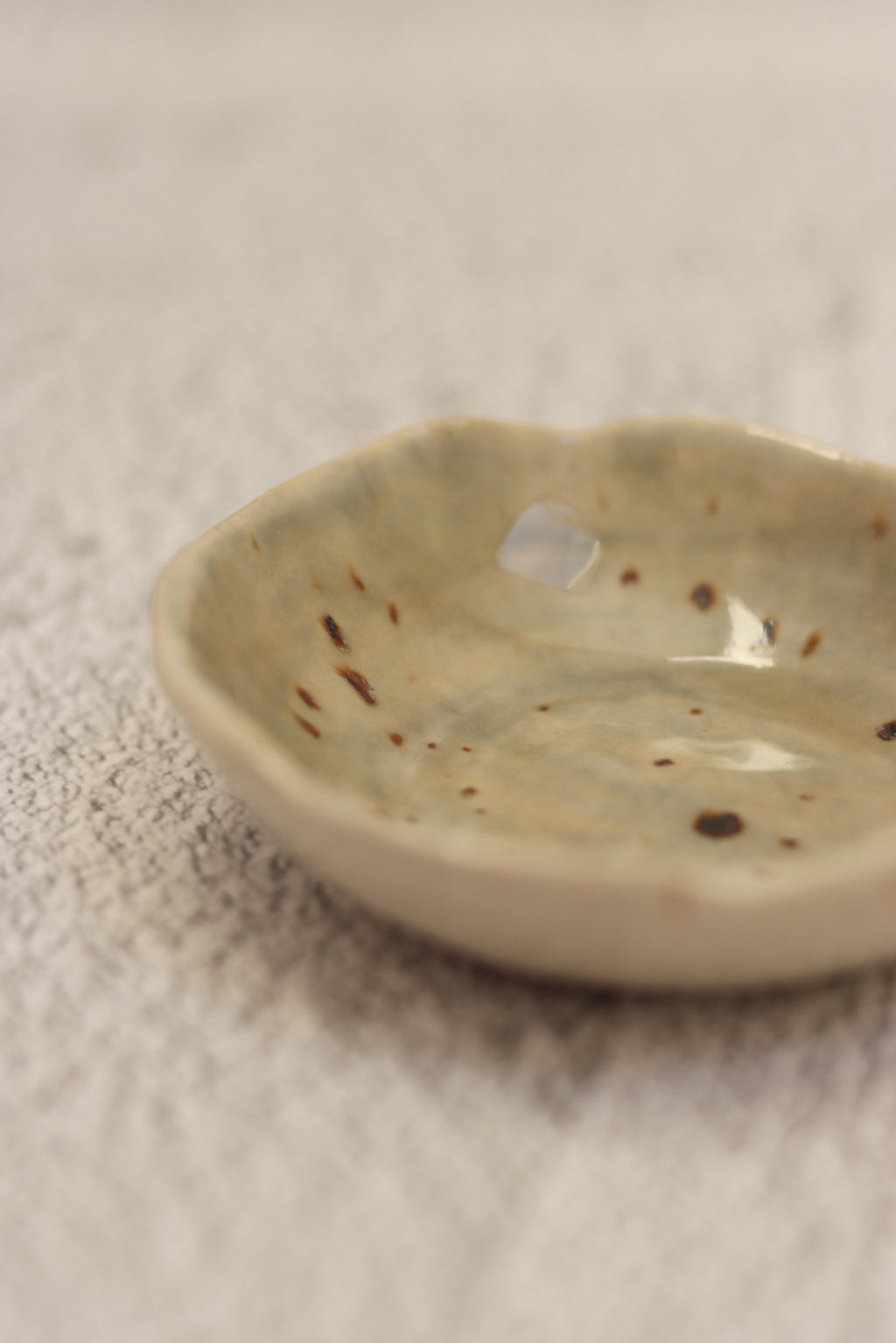 96. Tiny Plate Sage Spot