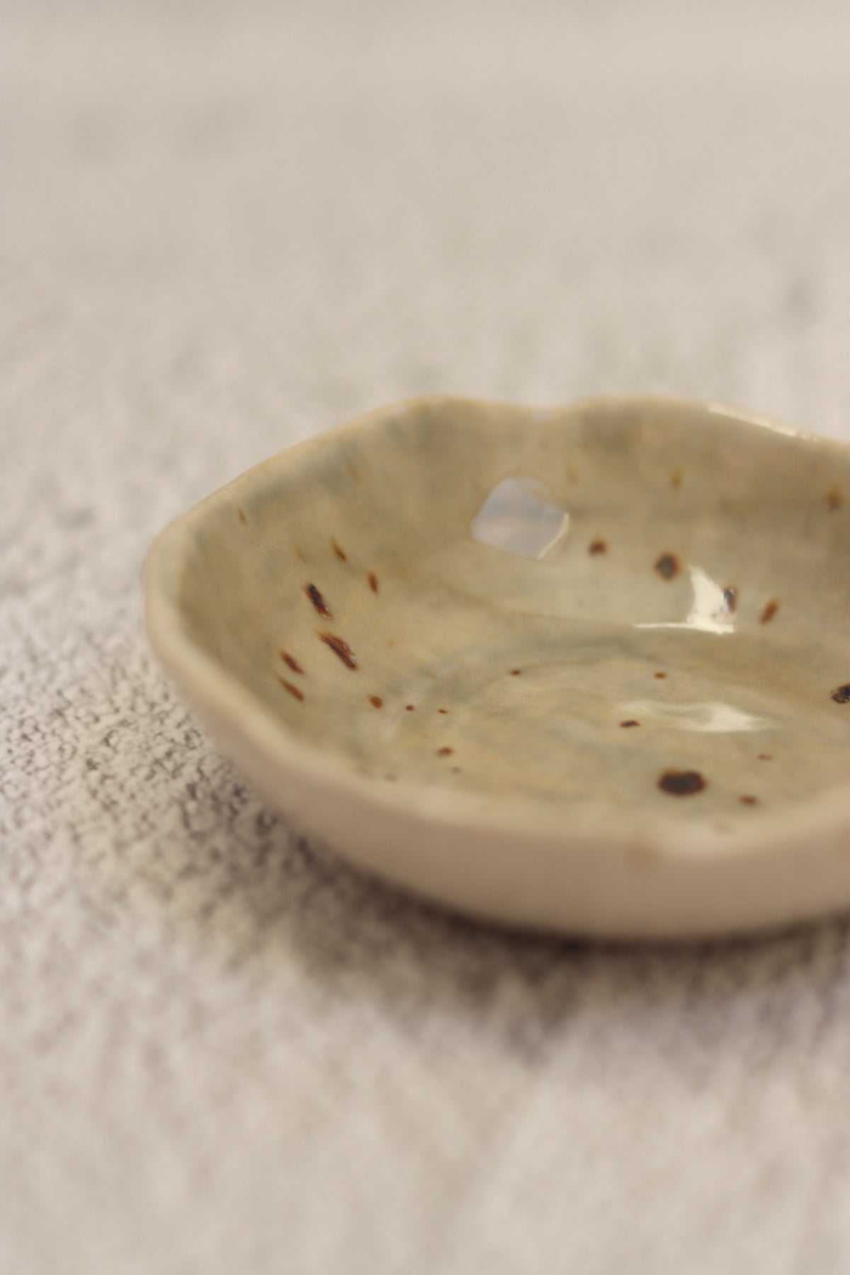 96. Tiny Plate Sage Spot