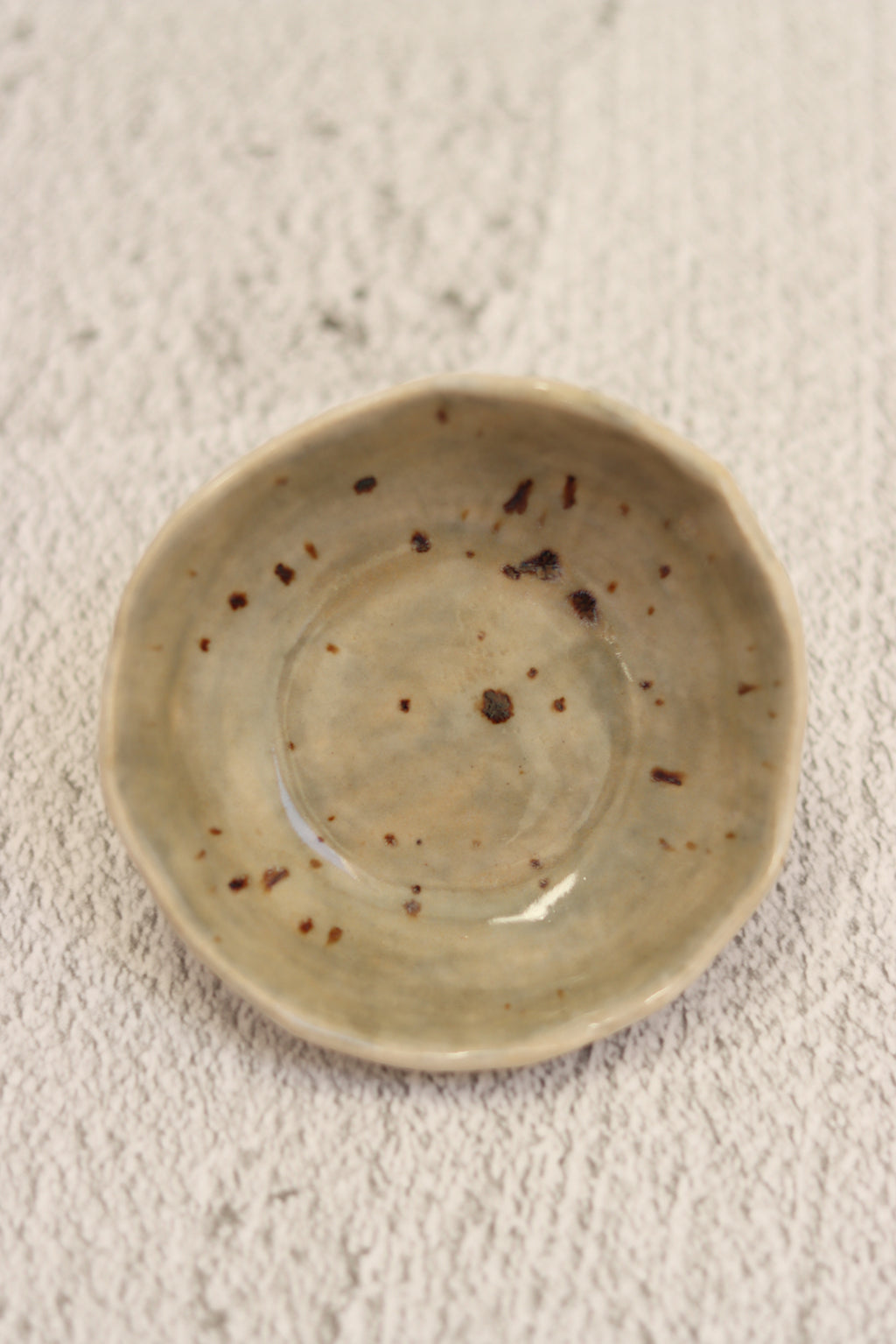 96. Tiny Plate Sage Spot