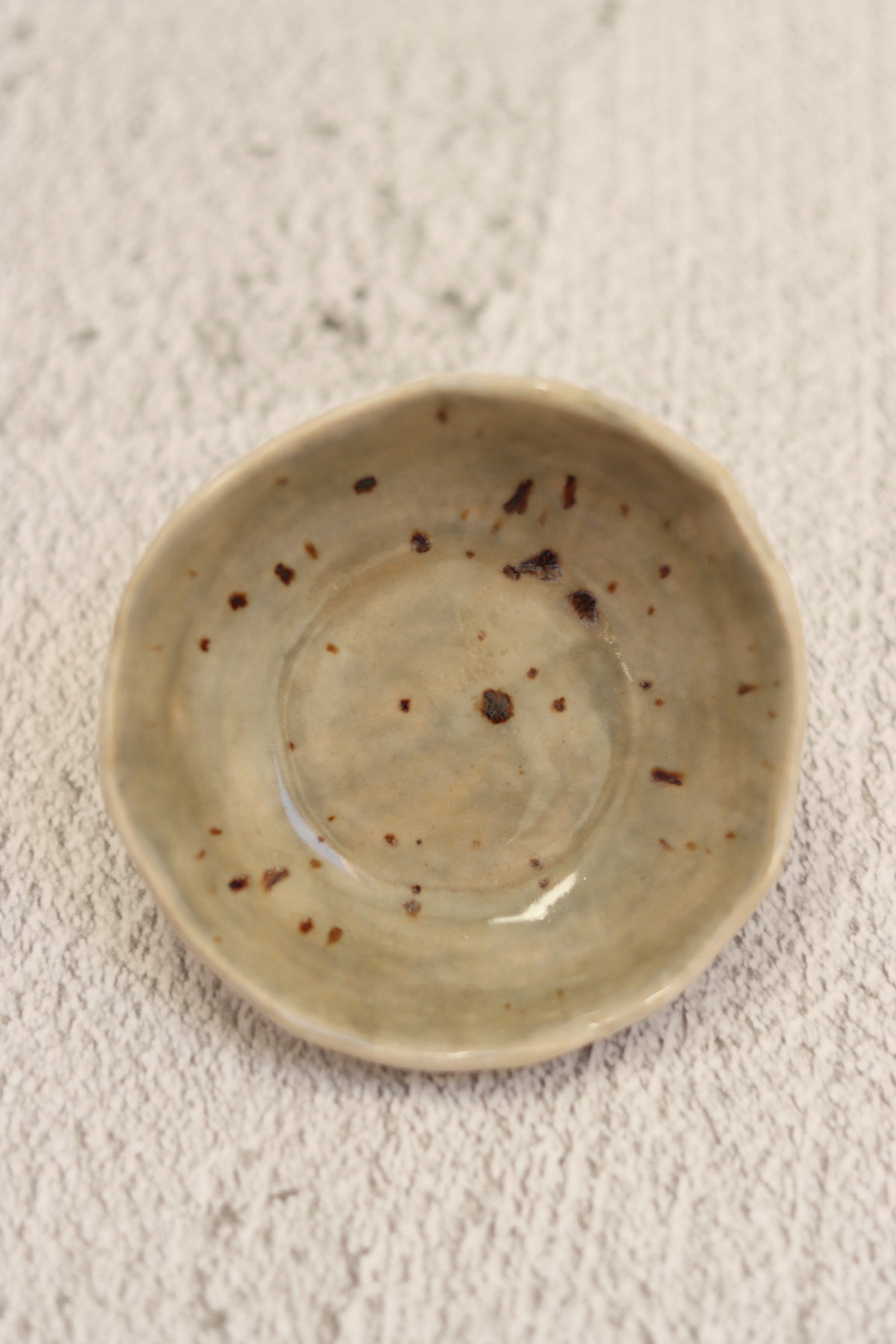 96. Tiny Plate Sage Spot
