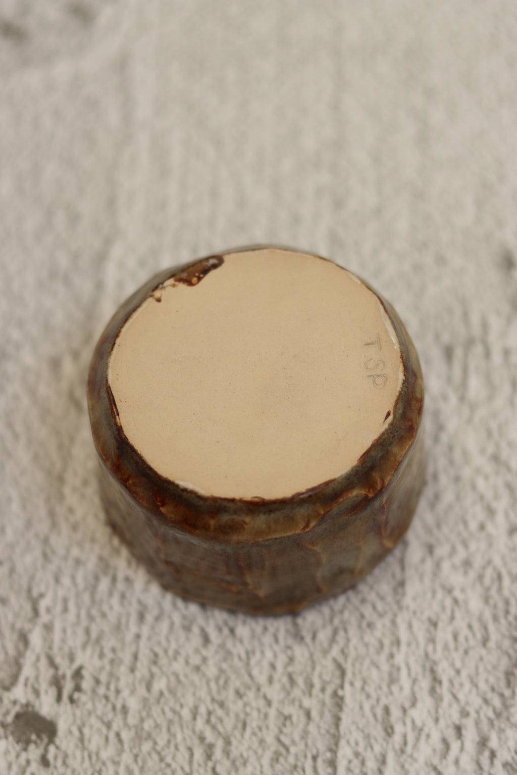 70. Rock Effect Bowl Forest