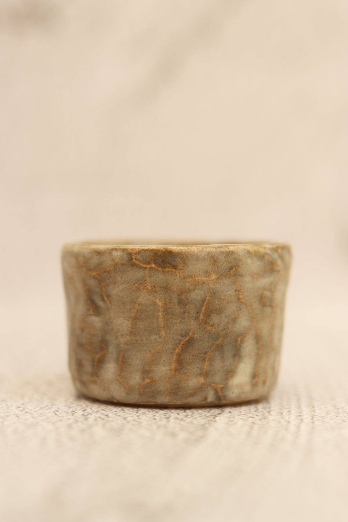 62. Rock Effect Bowl Moss