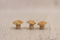 Trio of mushrooms - beige