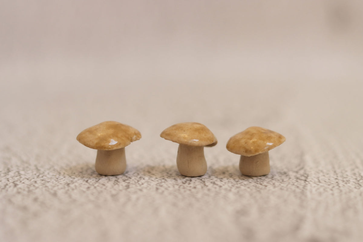 Trio of mushrooms - beige