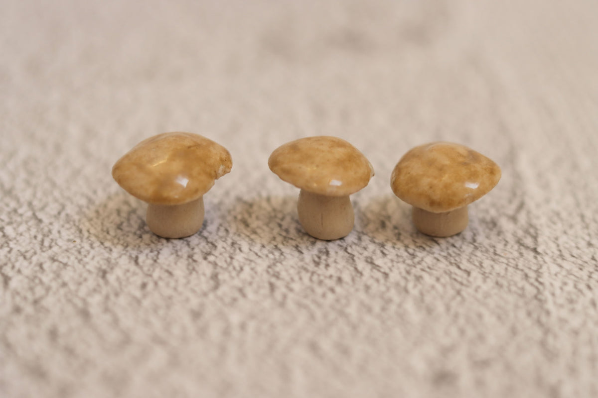 Trio of mushrooms - beige