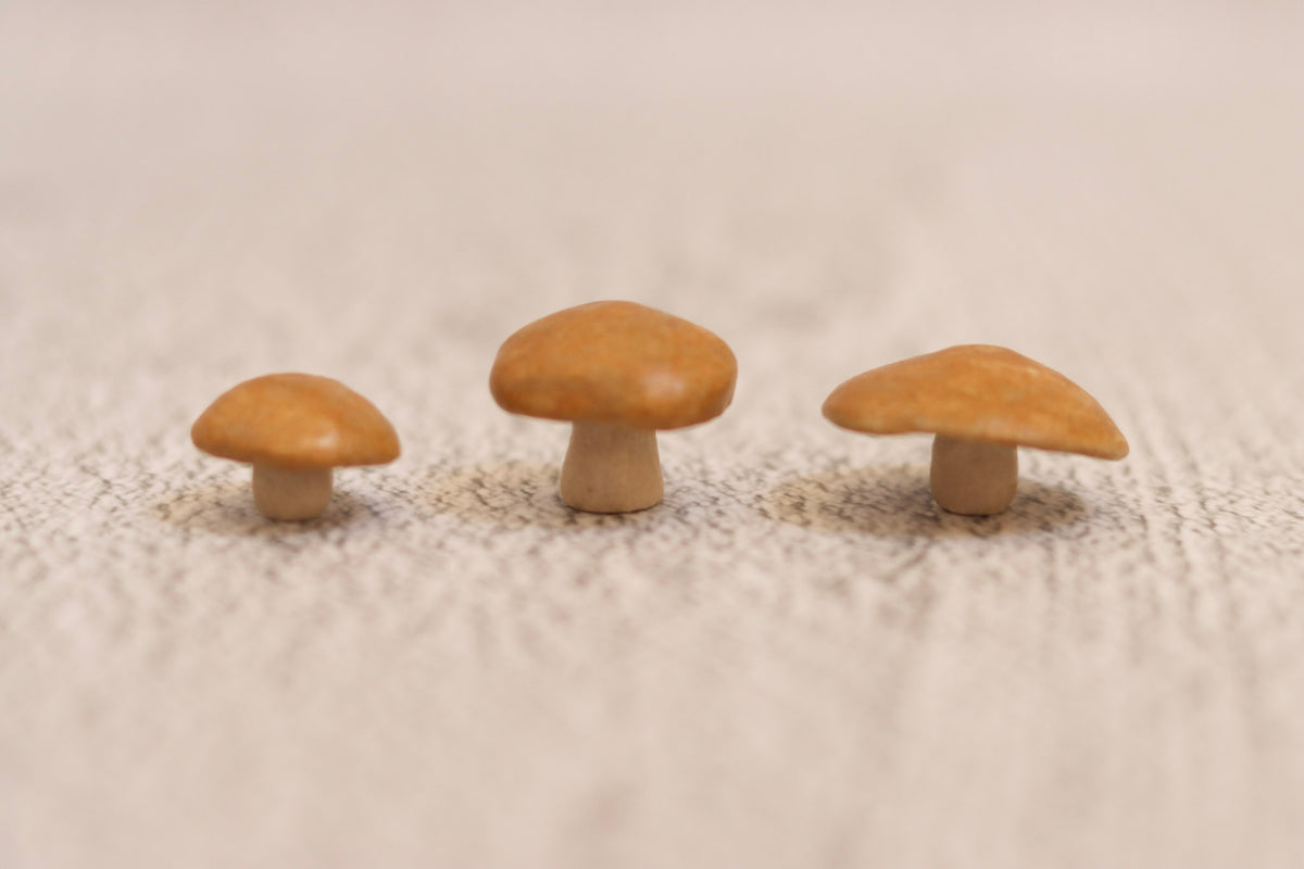 Trio of mushrooms - tan