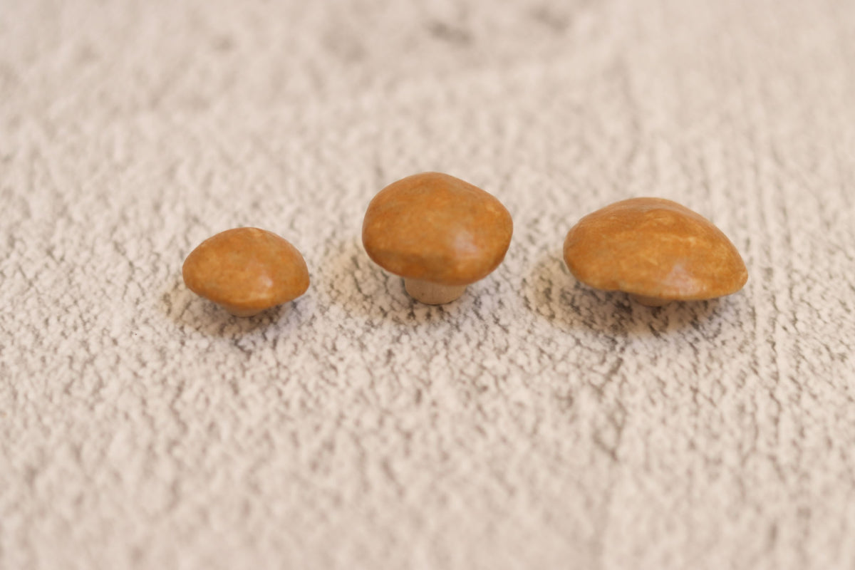 Trio of mushrooms - tan