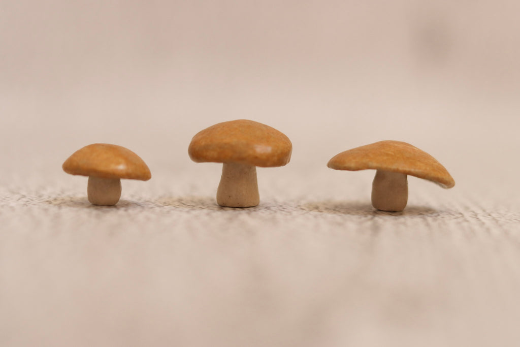 Trio of mushrooms - tan