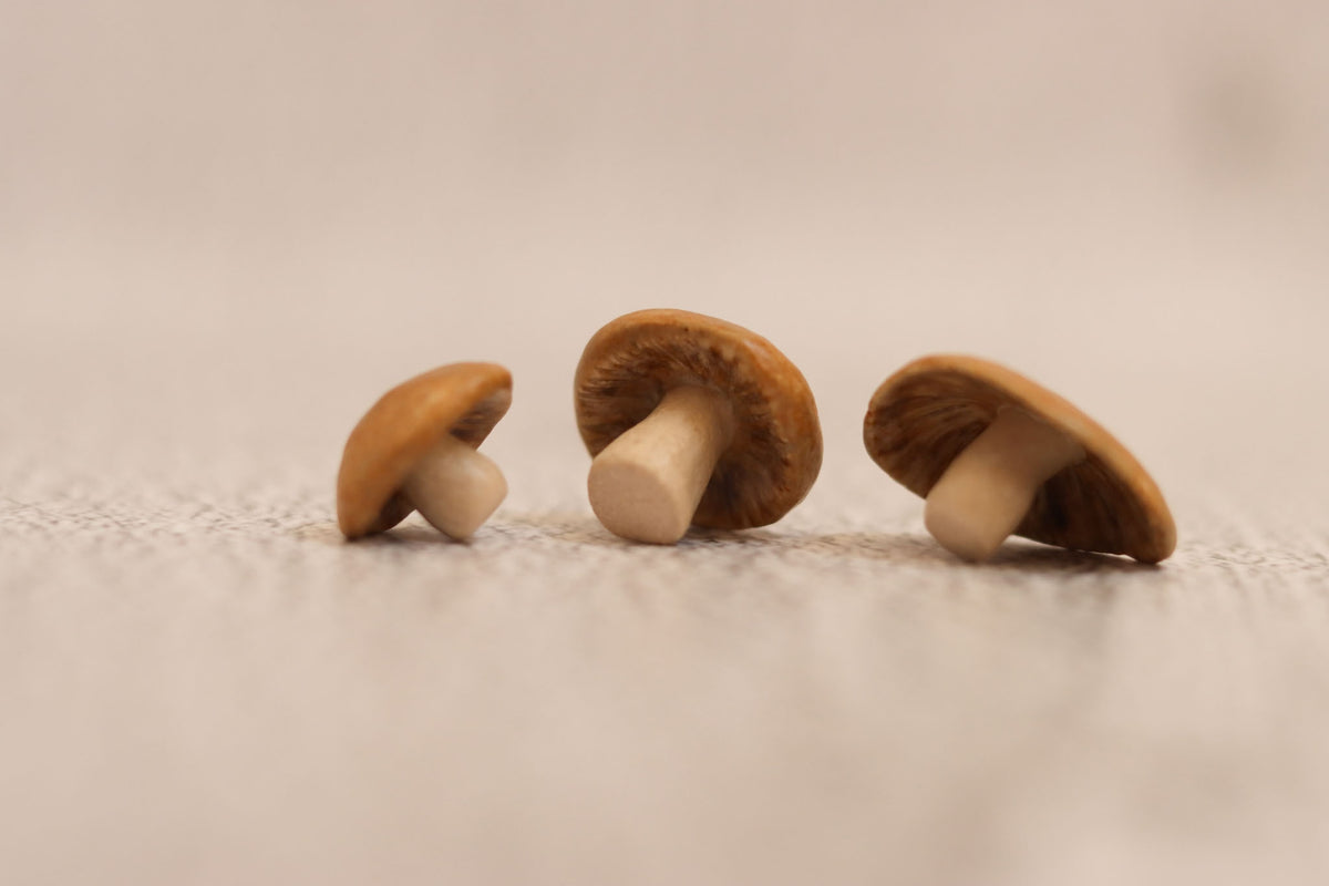 Trio of mushrooms - tan