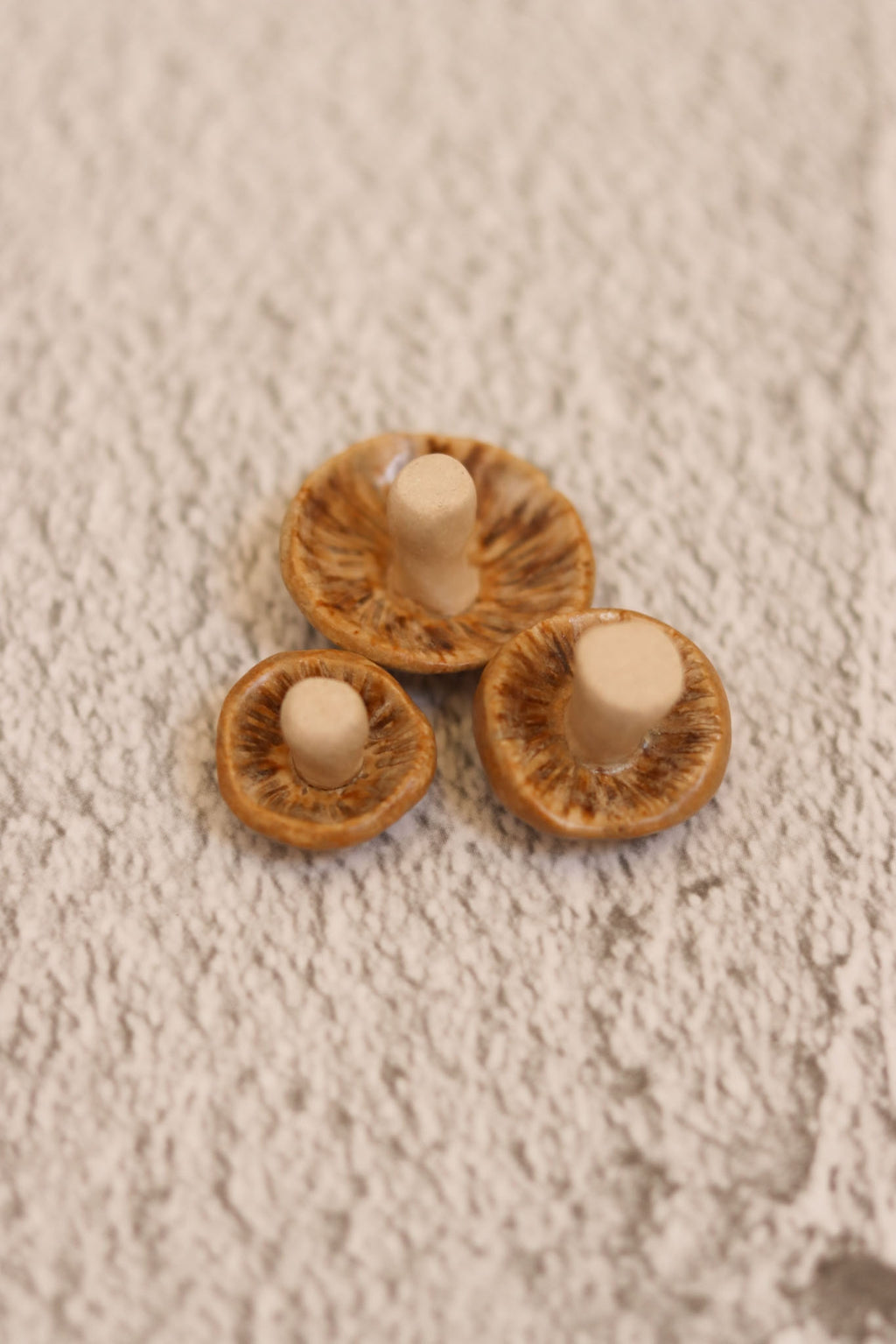 Trio of mushrooms - tan