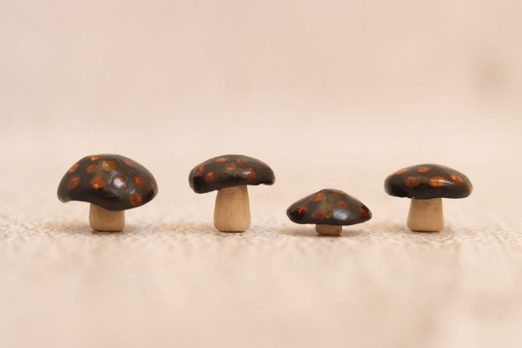 Four Mushrooms - spotted