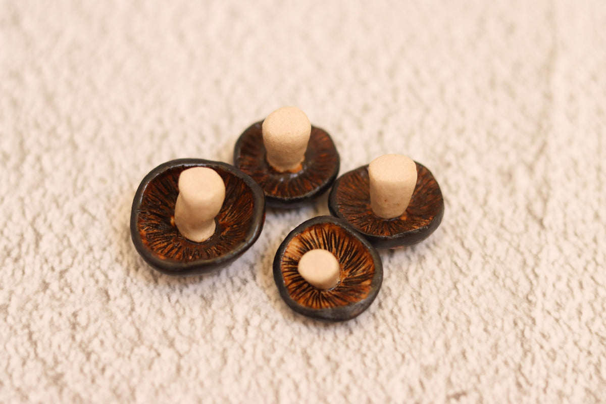 Four Mushrooms - spotted
