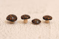 Four Mushrooms - spotted