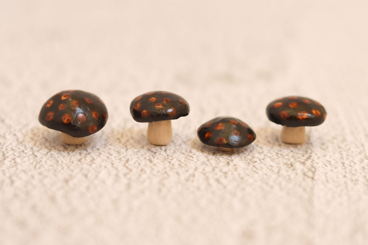 Four Mushrooms - spotted