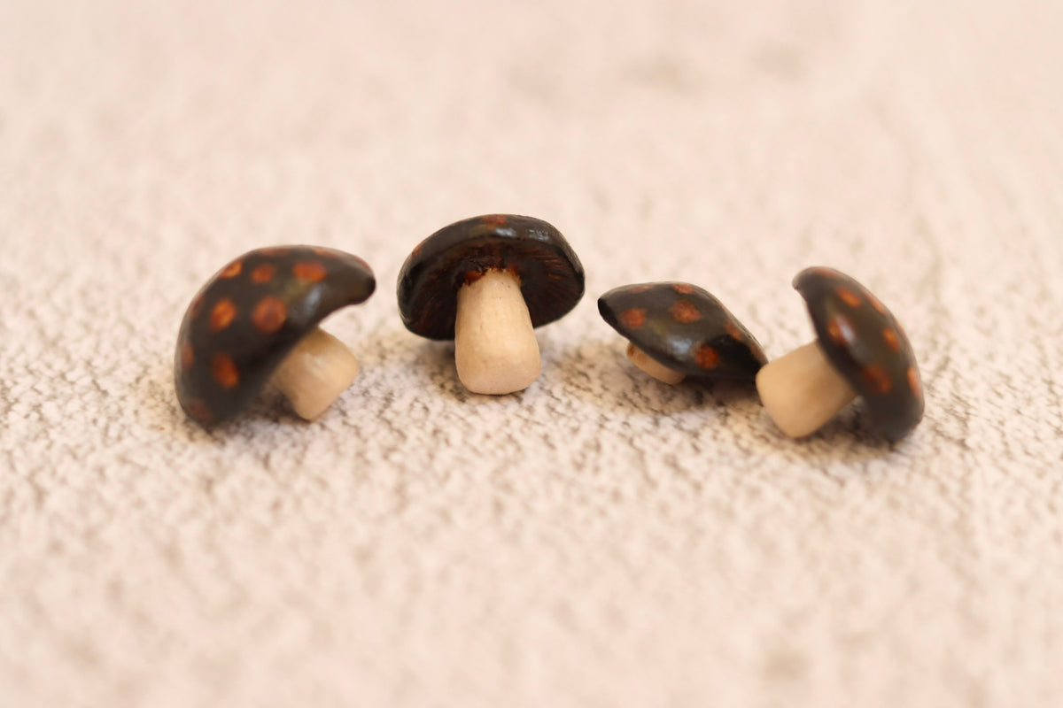 Four Mushrooms - spotted